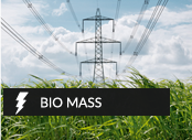 Bio Mass